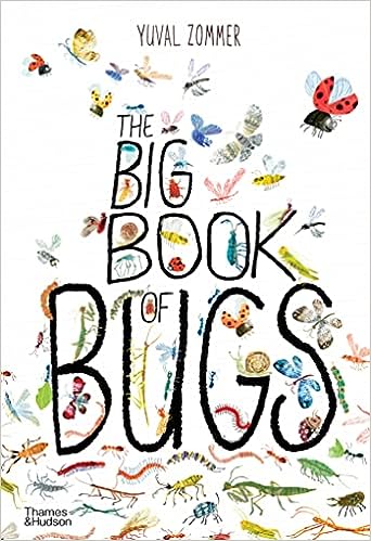 Book titled Big Book Of Bugs